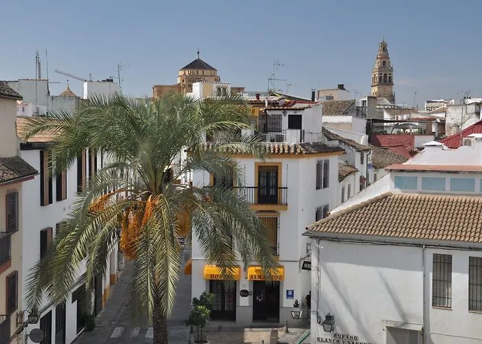 Hostal Almanzor